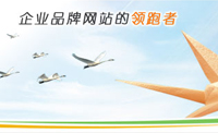 長沙網(wǎng)站建設網(wǎng)站設計成功要素之一