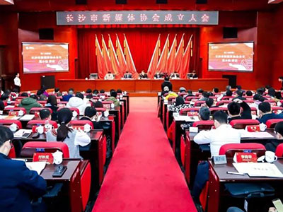 長沙市新媒體協會正式成立，陳花當選協會秘書長