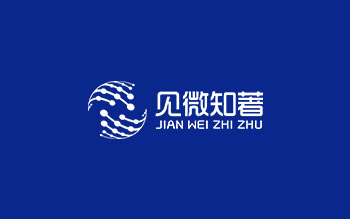四川見微知著科技有限公司