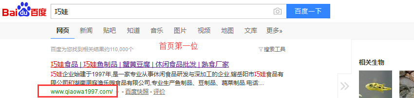 營銷型網(wǎng)站成功案例：巧娃食品官網(wǎng)