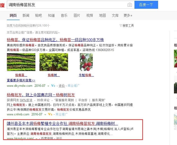 這樣做seo，靖州楊梅網站排名有盼頭